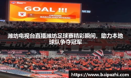 潍坊电视台直播潍坊足球赛精彩瞬间，助力本地球队争夺冠军
