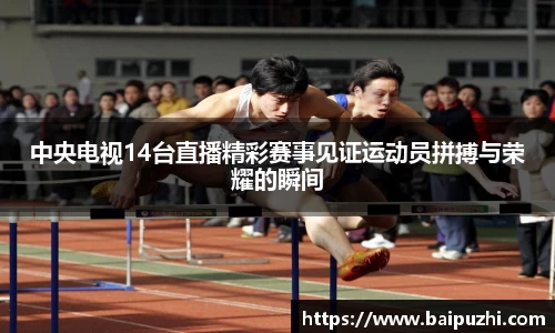 九游体育官网入口